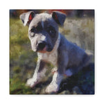 Pet Portrait Oil Painting